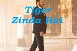 آهنگ هندی Dil Diyan Gallan فیلم Tiger Zinda Hai