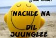 آهنگ هندی Nachle Na فیلم Dil Juunglee