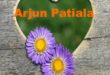 آهنگ فیلم هندی Arjun Patiala بنام حبیبی مری جانیا Crazy Habibi