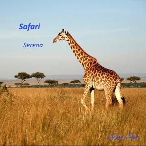 دانلود آهنگ شاد خارجی Serena بنام Safari سافاری باکیفیت 320
